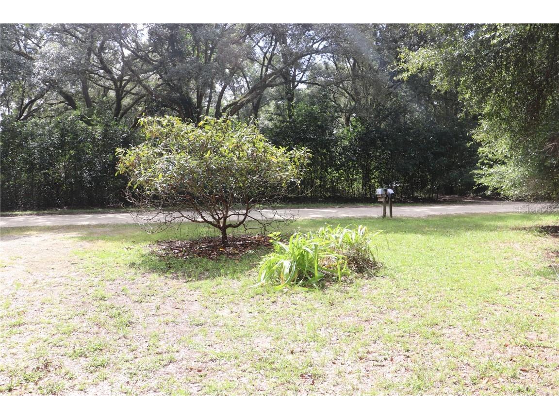 19591 SE 77th Place Morriston FL 32668 OM711186 image16