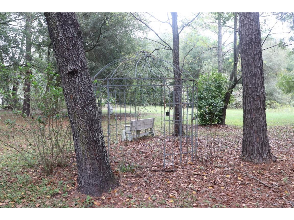 19591 SE 77th Place Morriston FL 32668 OM711186 image18