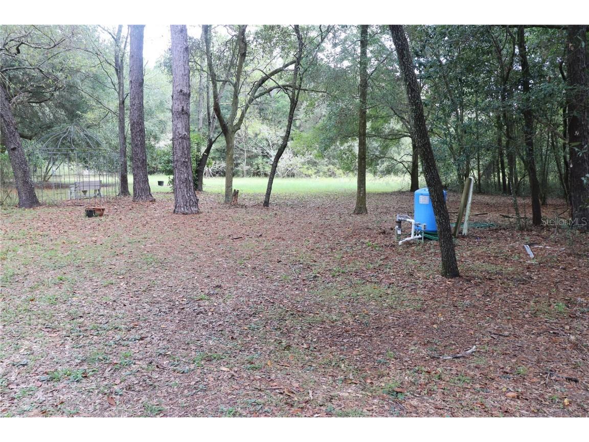 19591 SE 77th Place Morriston FL 32668 OM711186 image19