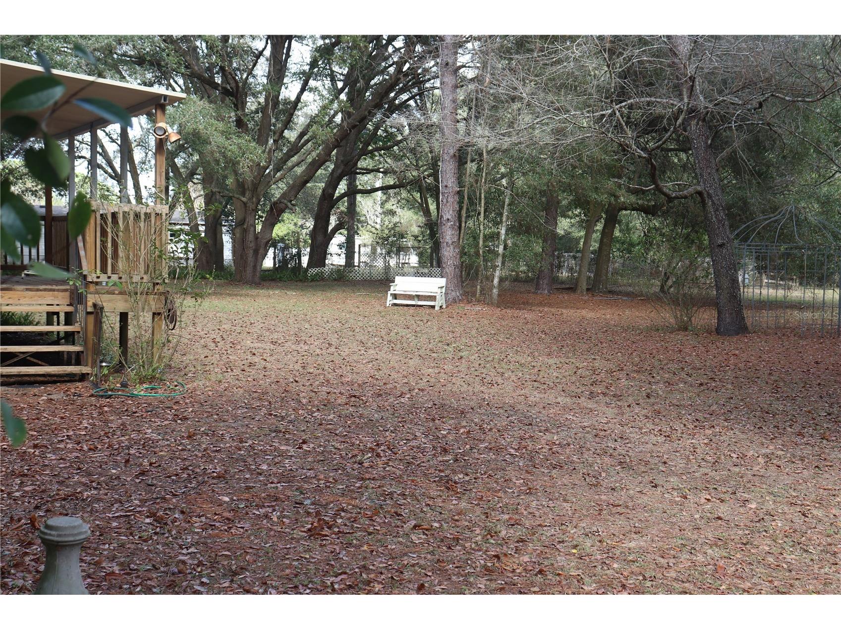 19591 SE 77th Place Morriston FL 32668 OM711186 image25