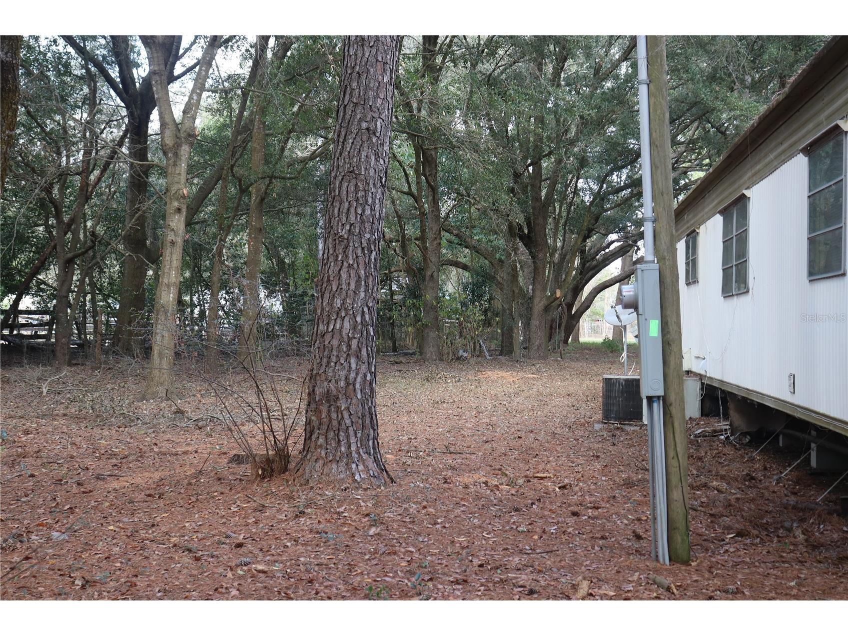 19591 SE 77th Place Morriston FL 32668 OM711186 image26