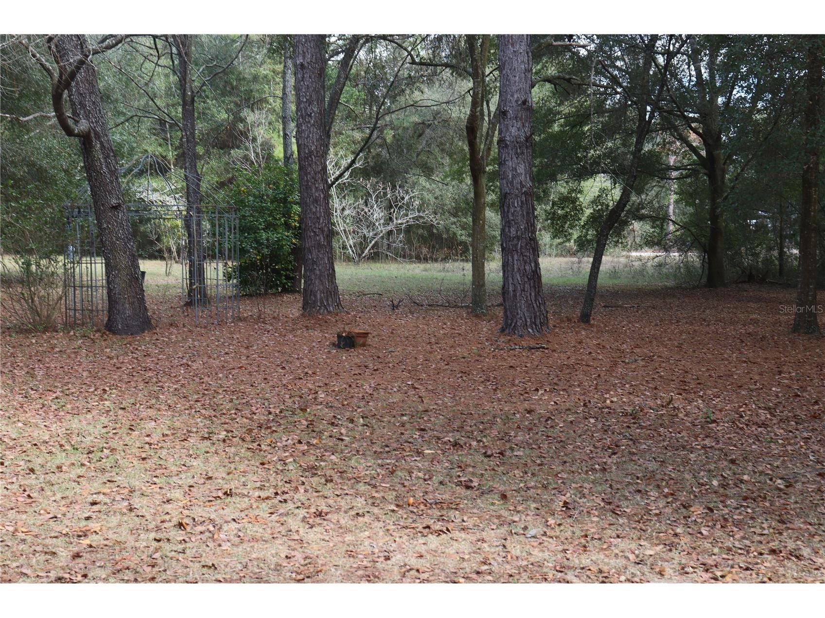 19591 SE 77th Place Morriston FL 32668 OM711186 image27