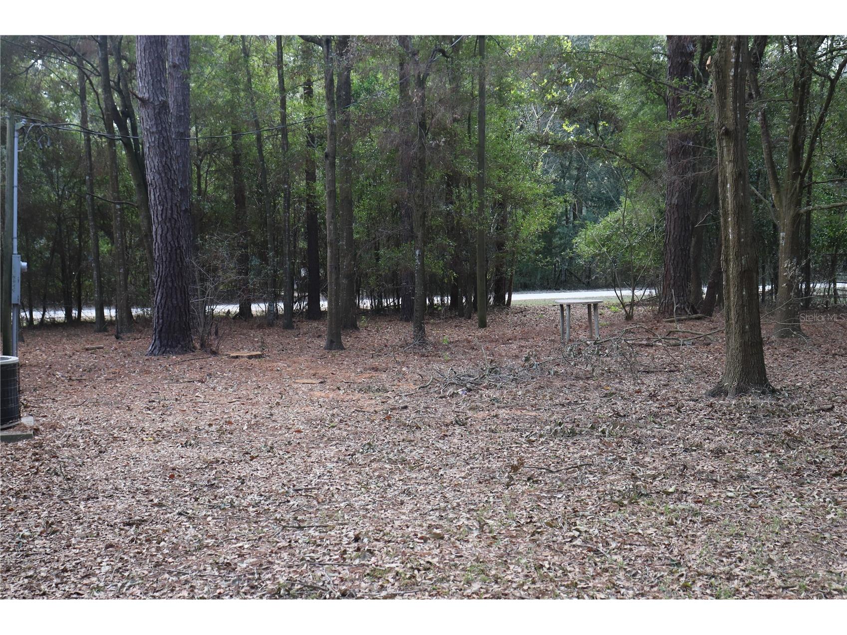 19591 SE 77th Place Morriston FL 32668 OM711186 image30