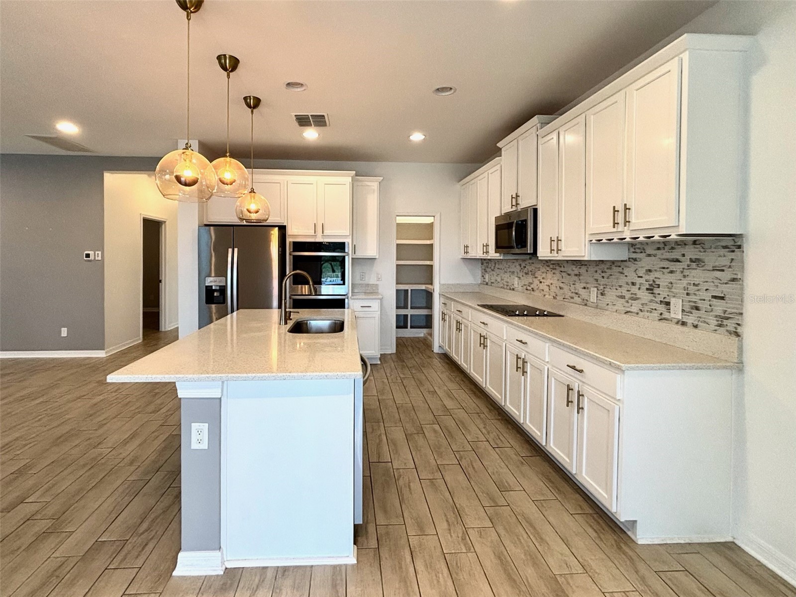 19592 Breynia Drive Lutz FL 33558 TB8434531 image10