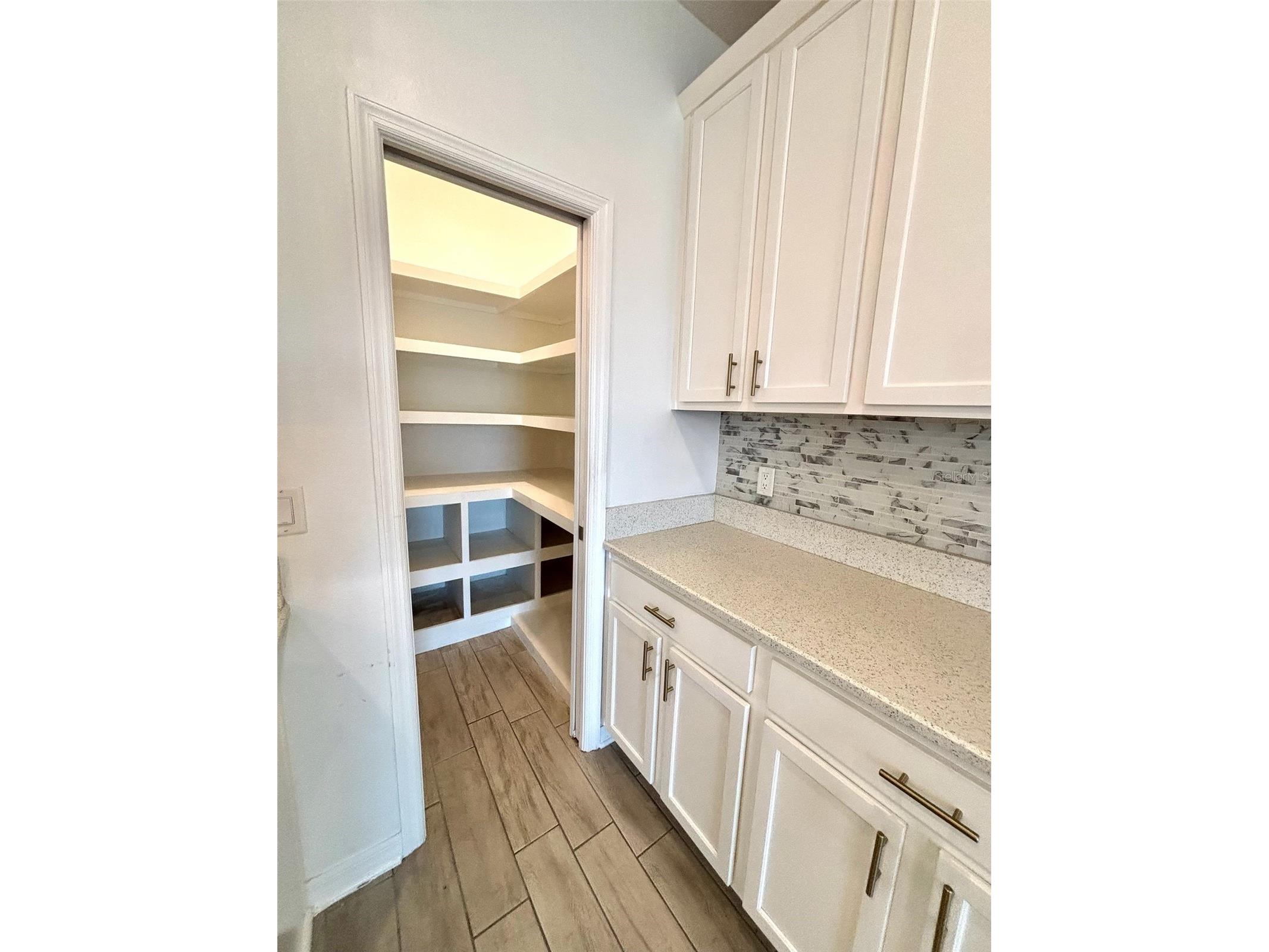 19592 Breynia Drive Lutz FL 33558 TB8434531 image12