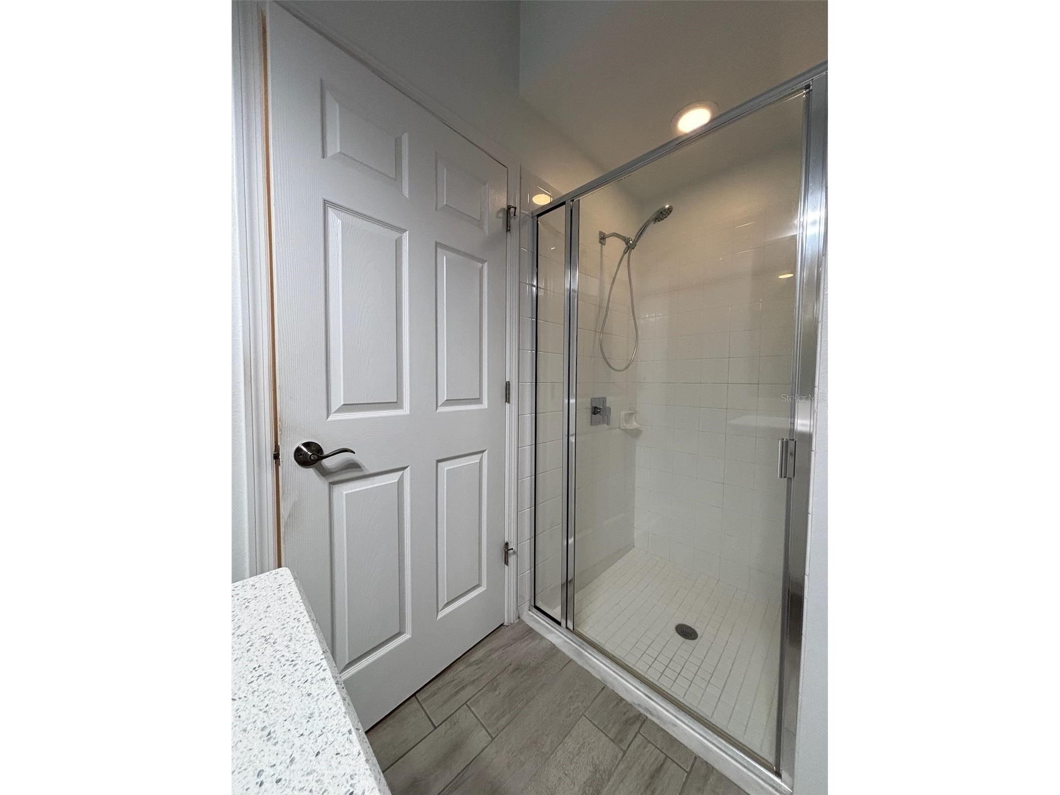 19592 Breynia Drive Lutz FL 33558 TB8434531 image15