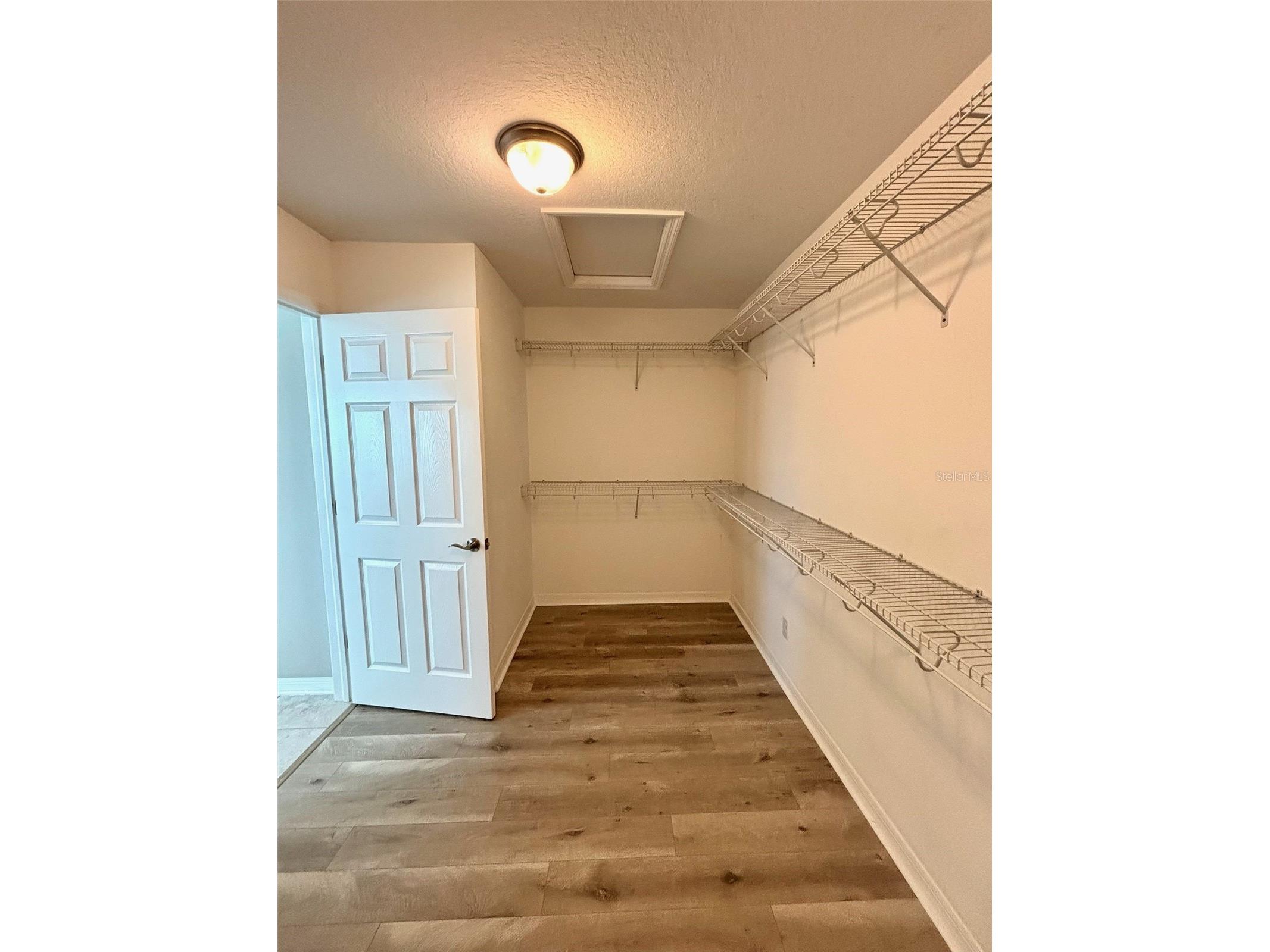 19592 Breynia Drive Lutz FL 33558 TB8434531 image20