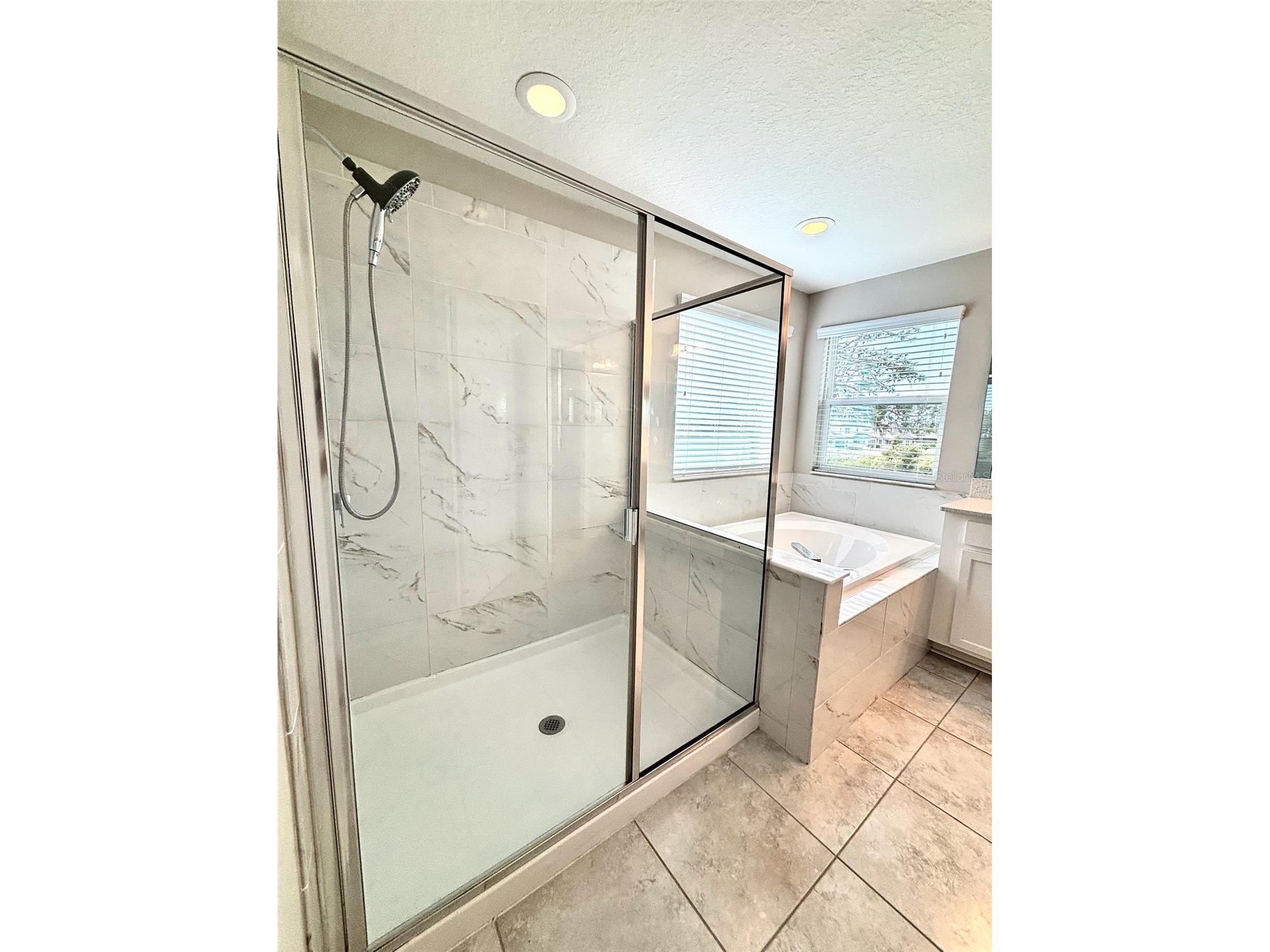 19592 Breynia Drive Lutz FL 33558 TB8434531 image22