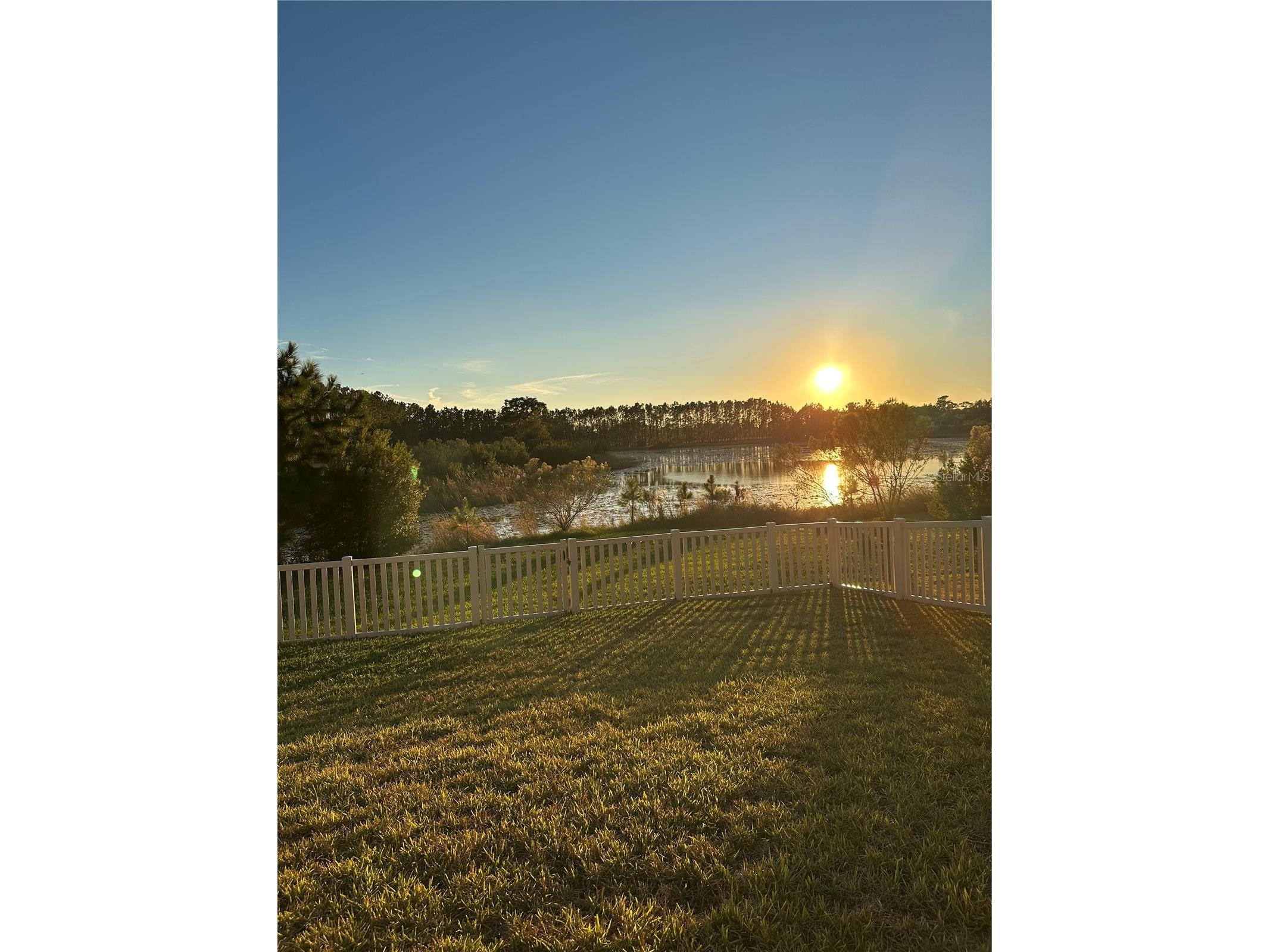 19592 Breynia Drive Lutz FL 33558 TB8434531 image3