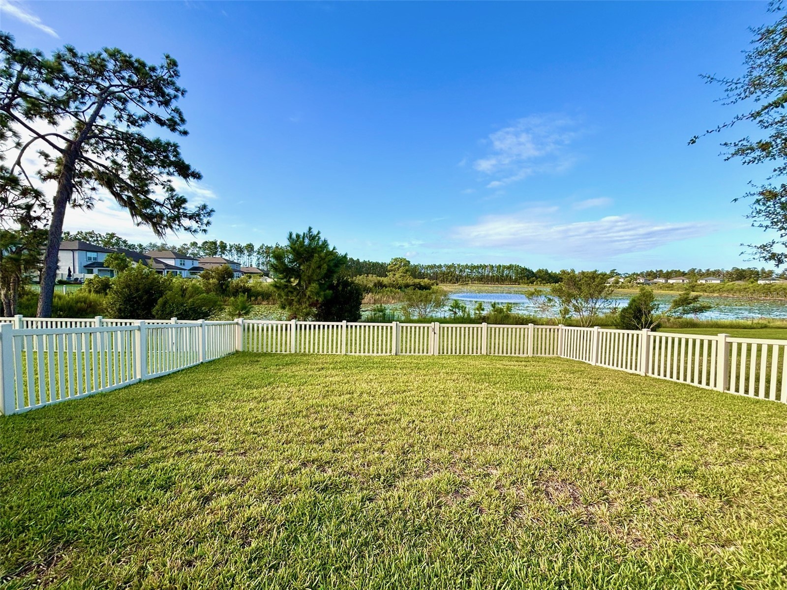 19592 Breynia Drive Lutz FL 33558 TB8434531 image36