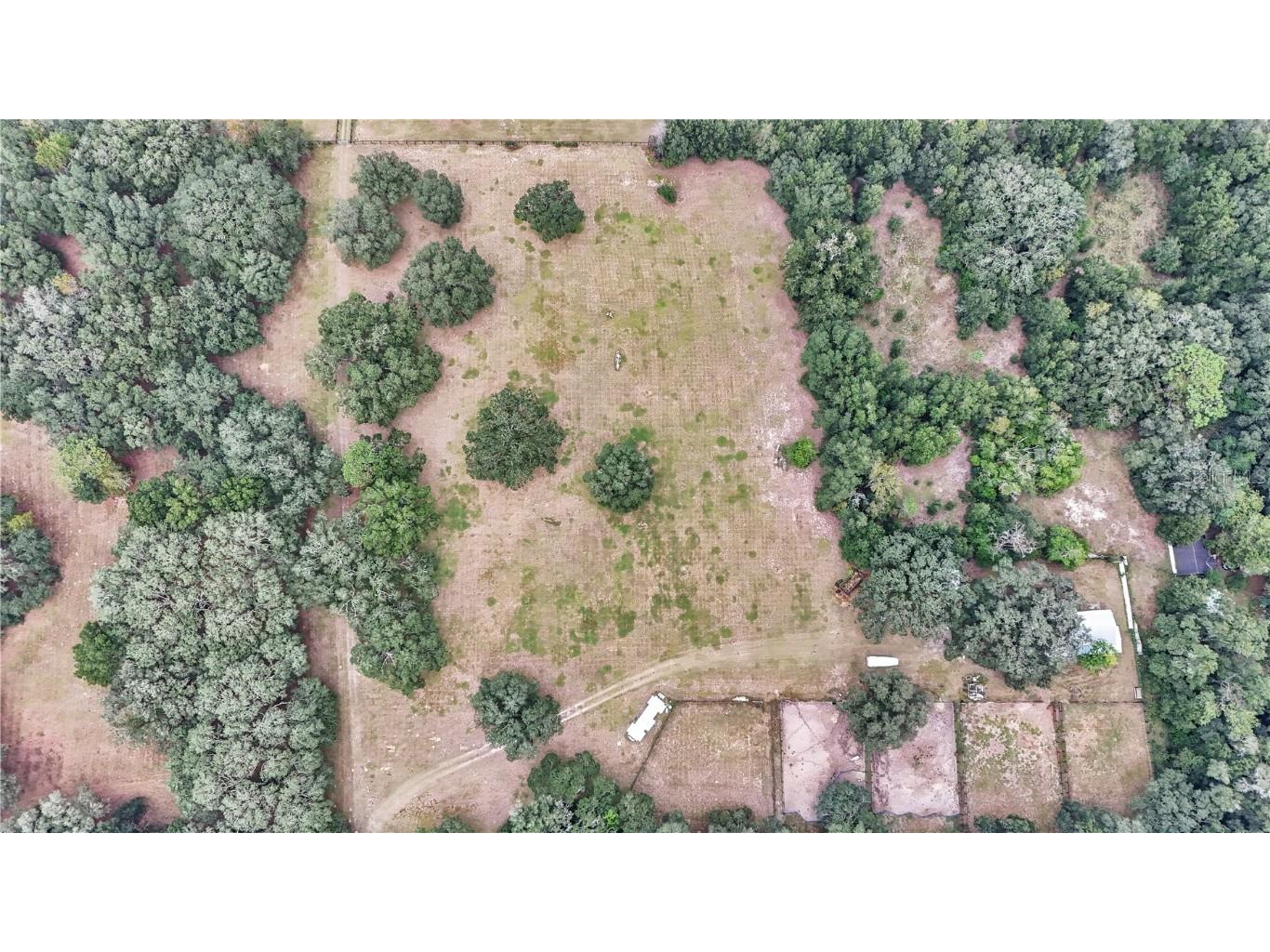 19597 SE 70th Lane Morriston FL 32668 OM712740 image17