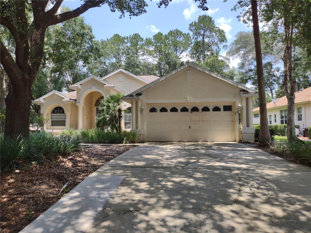 19597 SW 84th Place Dunnellon FL 34432 - RAINBOW RIVER OM660400 image1