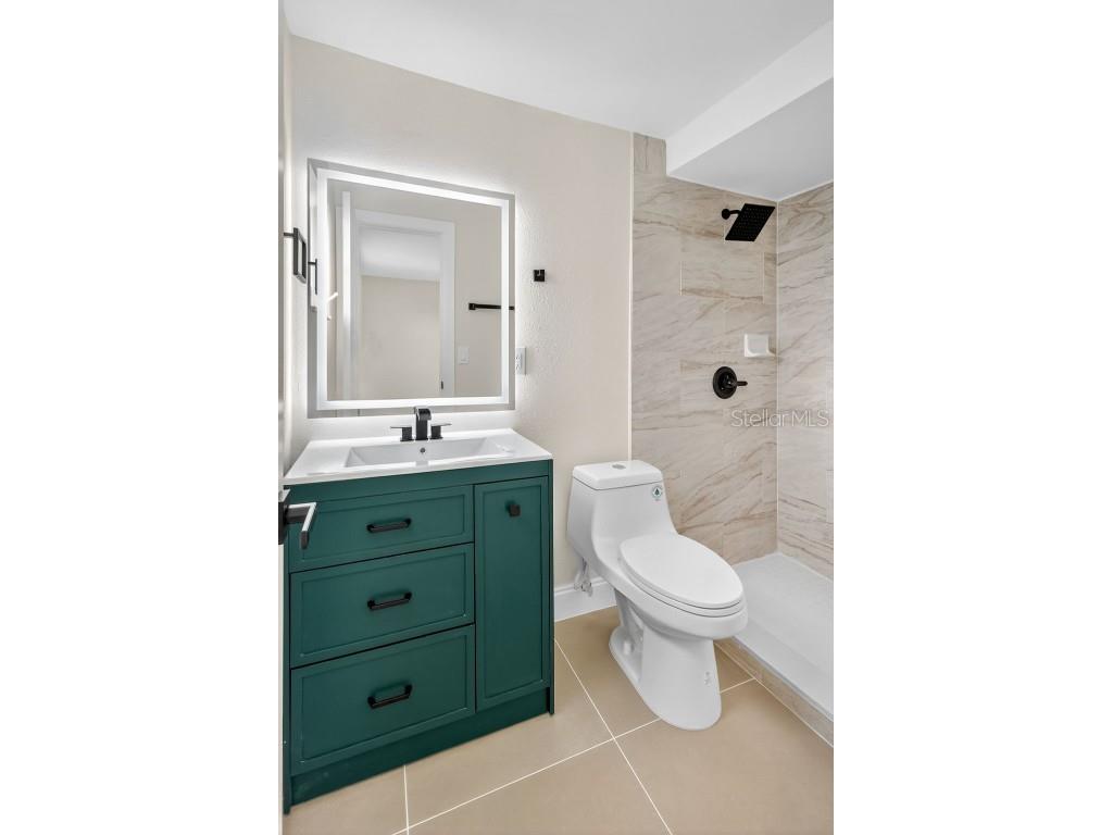 196 74th Avenue NE Saint Petersburg FL 33702 O6349530 image14