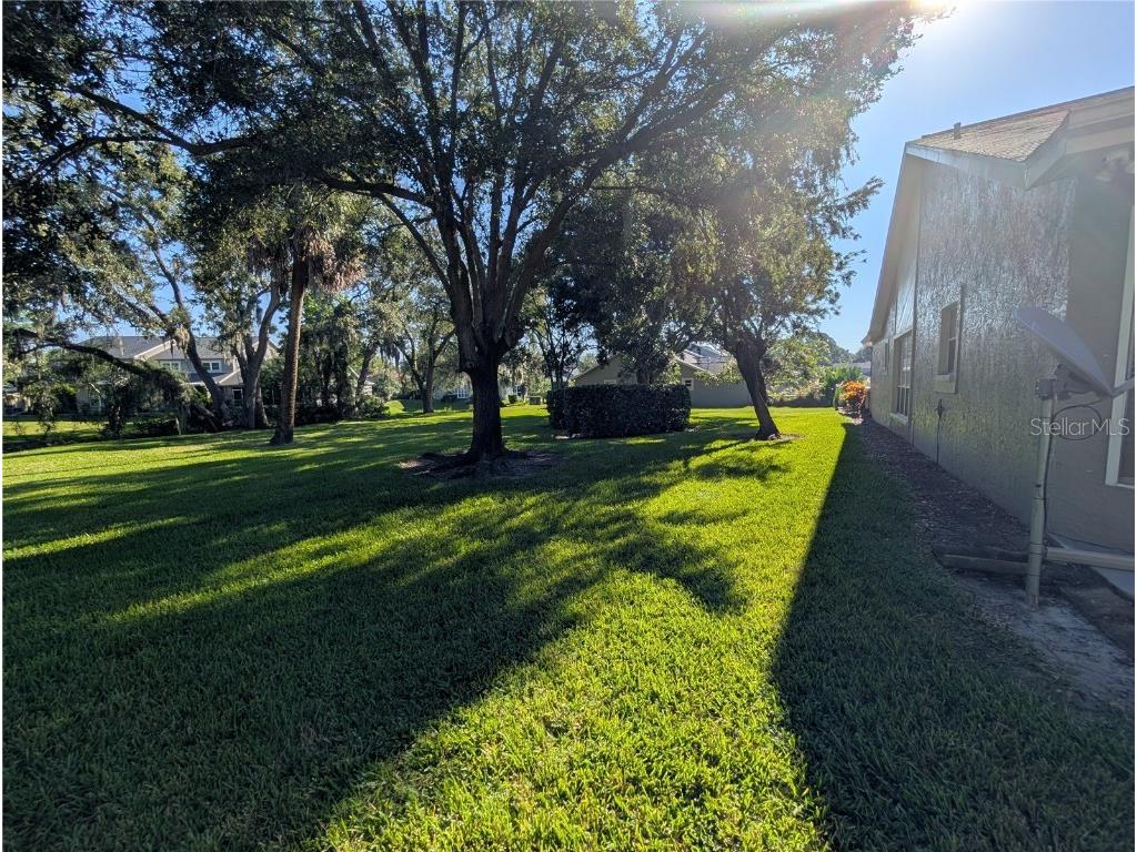 196 Hunter Court Palm Harbor FL 34684 W7878645 image43