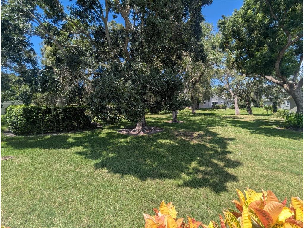 196 Hunter Court Palm Harbor FL 34684 W7878645 image44