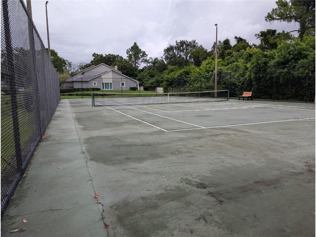 196 Hunter Court Palm Harbor FL 34684 W7878645 image50