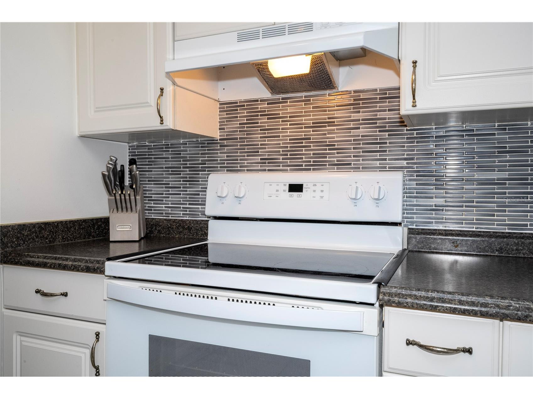 196 NW 100th Avenue Ocala FL 34482 O6412699 image19