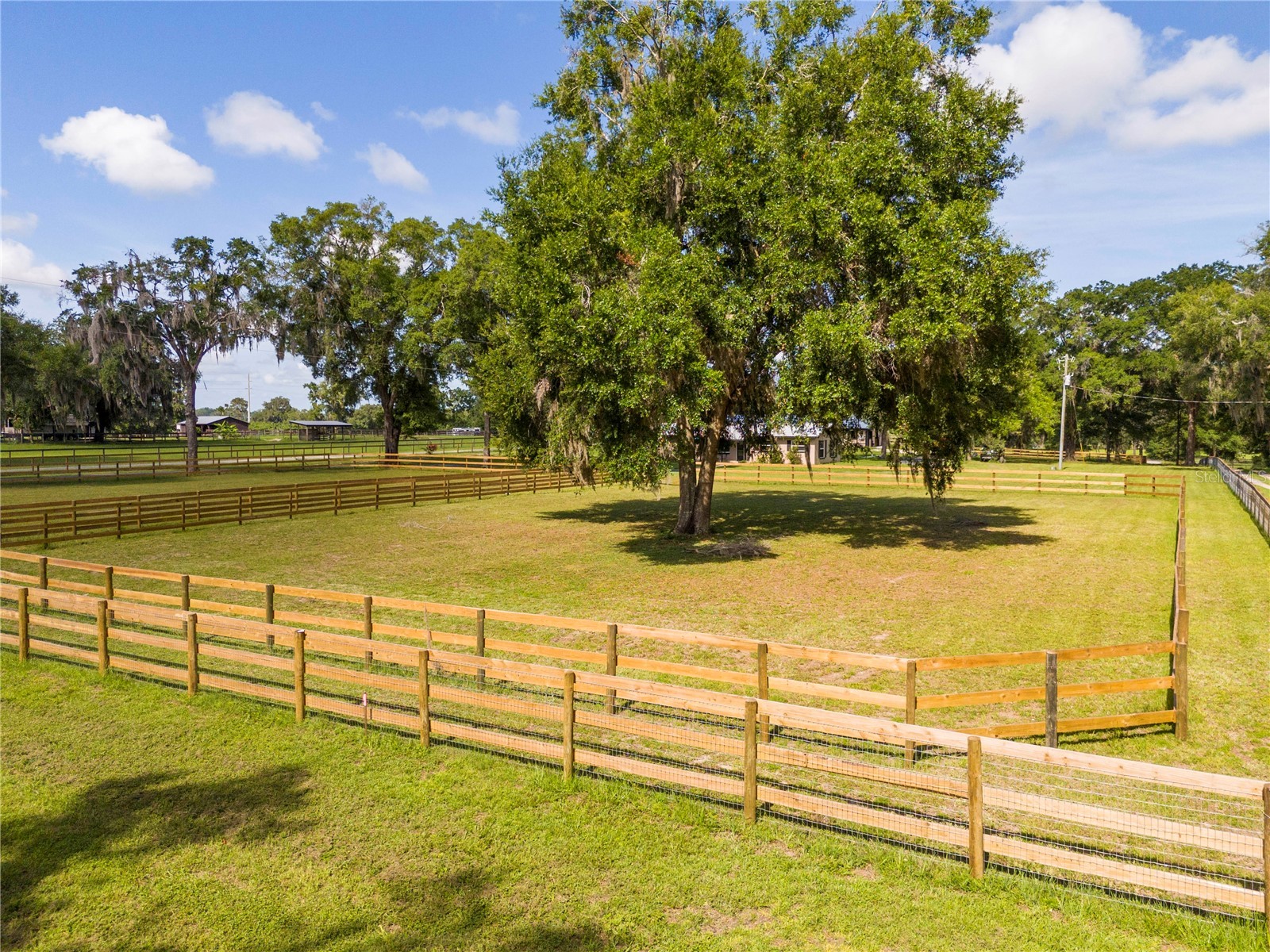 196 NW 100th Avenue Ocala FL 34482 O6412699 image39