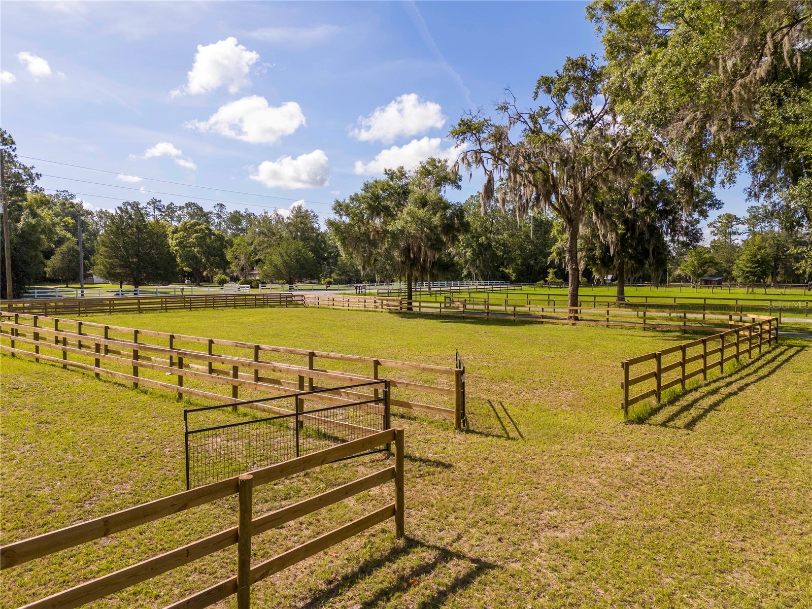 196 NW 100th Avenue Ocala FL 34482 O6412699 image41