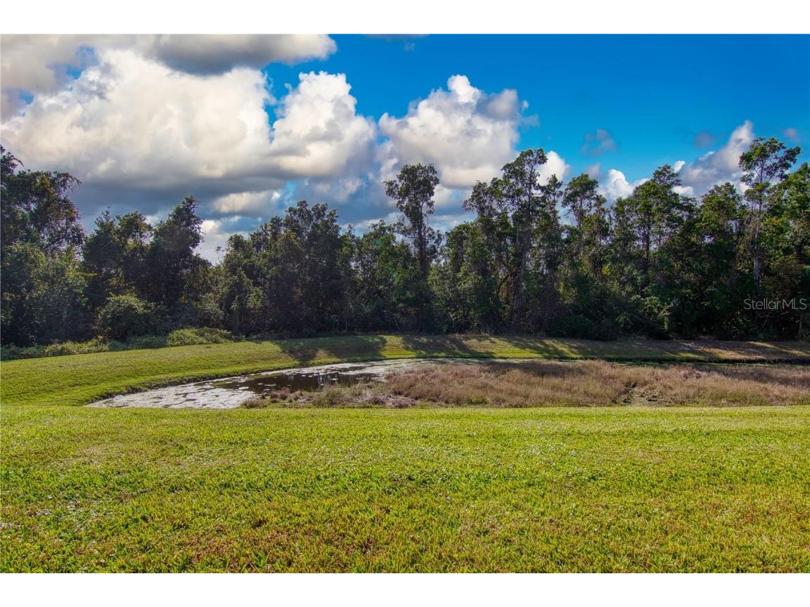 196 Ocean Bluff Drive Poinciana FL 34759 O6365590 image14