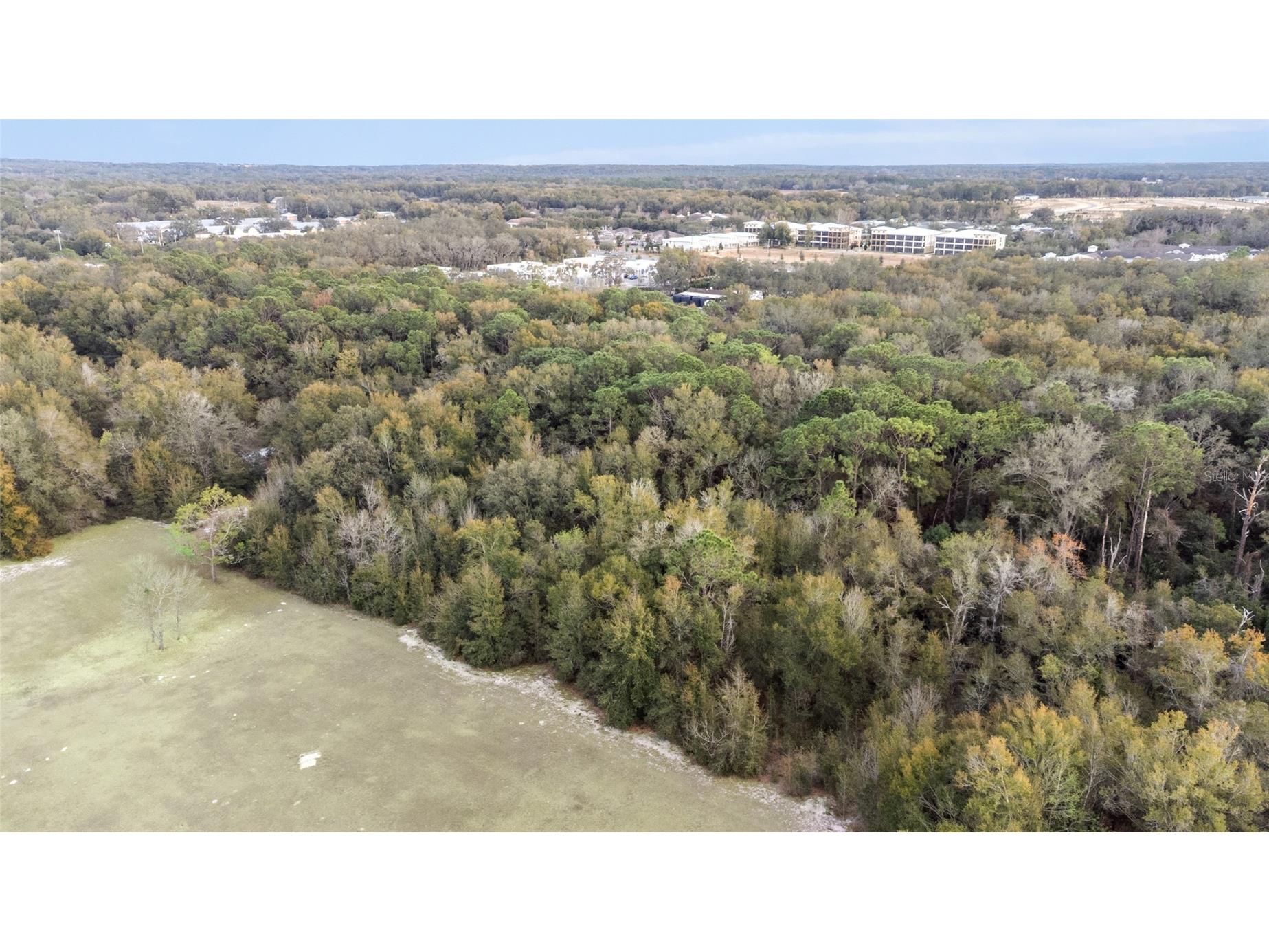 196 Palermo Place The Villages FL 32159 G5108346 image39