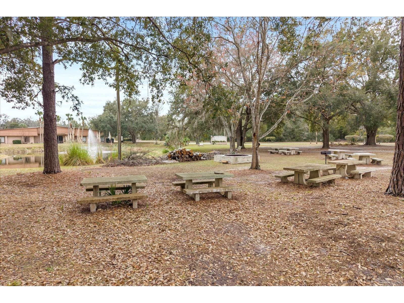 1960 Pinewood Lane Mount Dora FL 32757 O6385120 image13