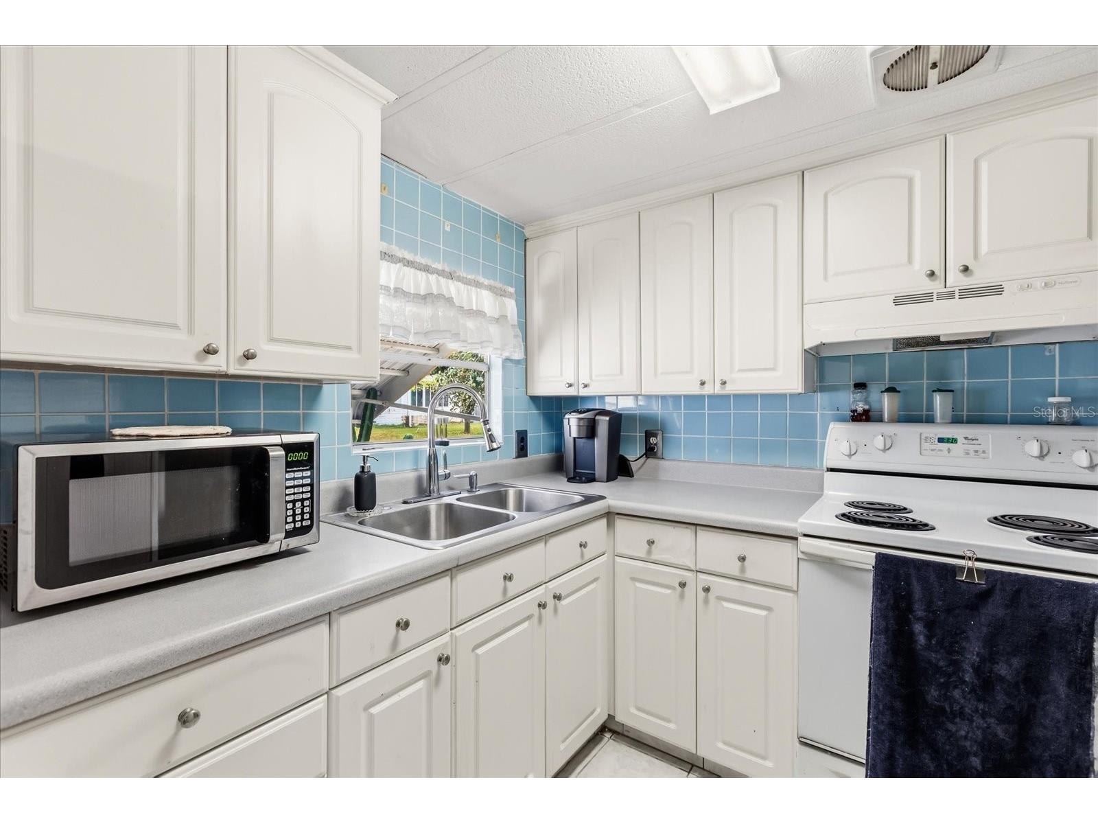 1960 Pinewood Lane Mount Dora FL 32757 O6385120 image5