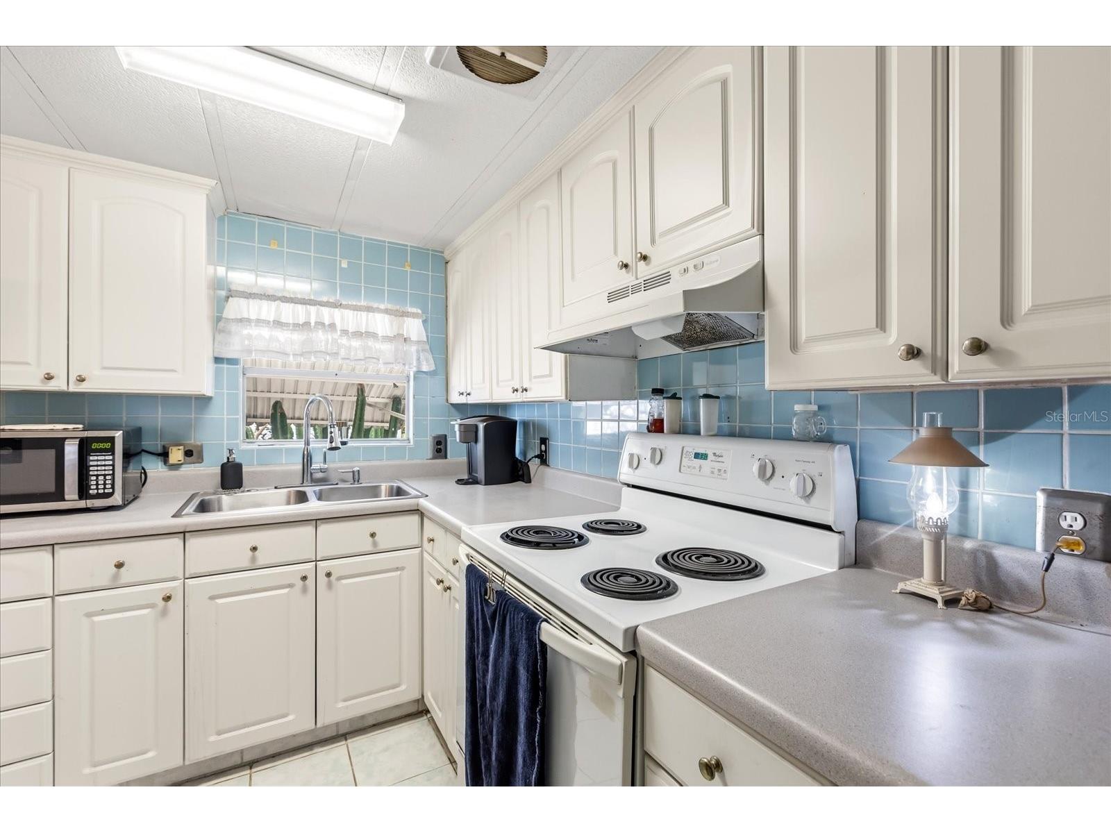 1960 Pinewood Lane Mount Dora FL 32757 O6385120 image6