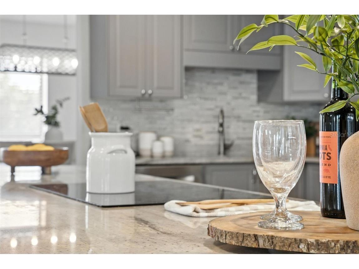 1960 SE 150th Street Summerfield FL 34491 OM706652 image38