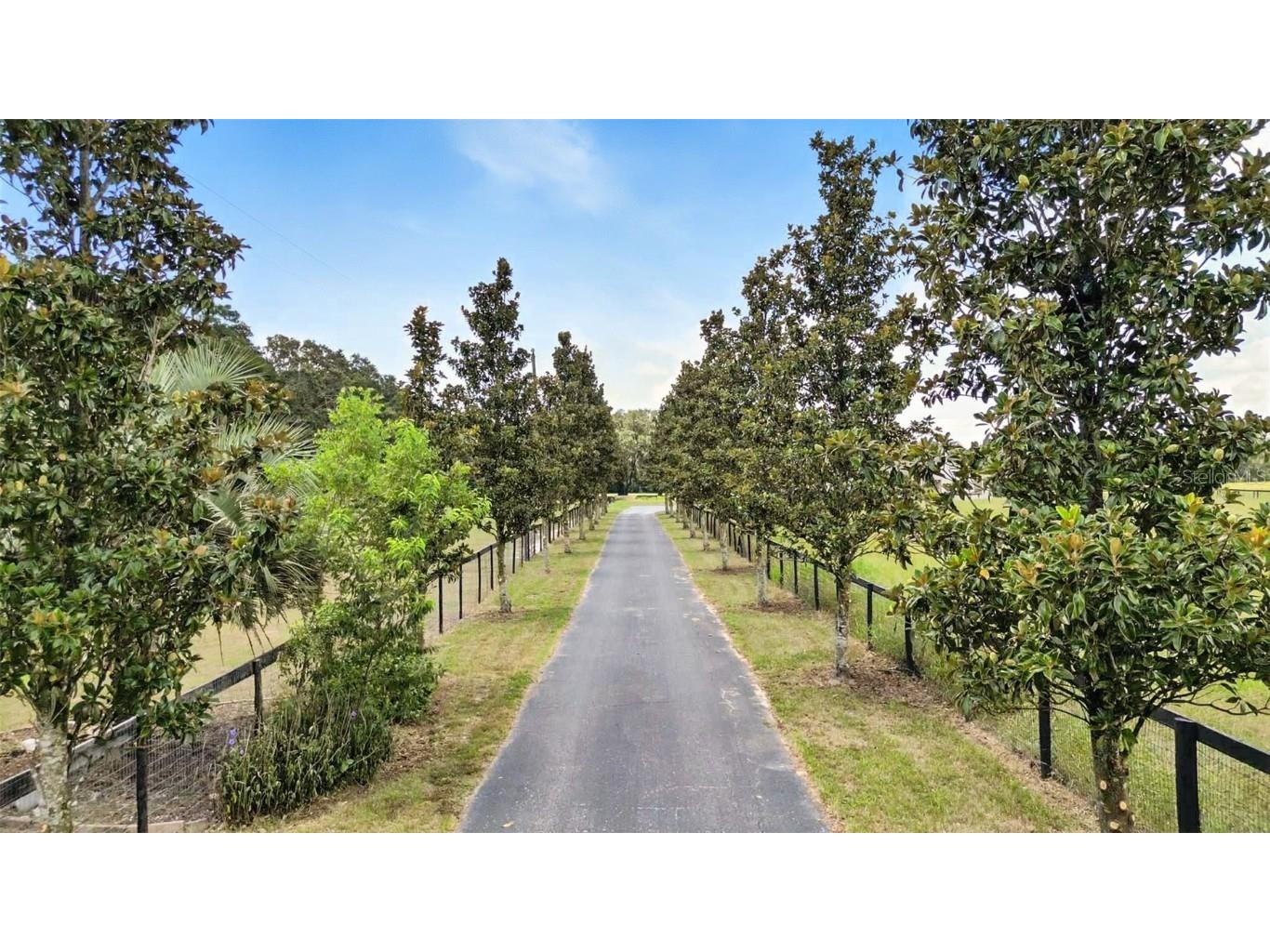 1960 SE 150th Street Summerfield FL 34491 OM706652 image6