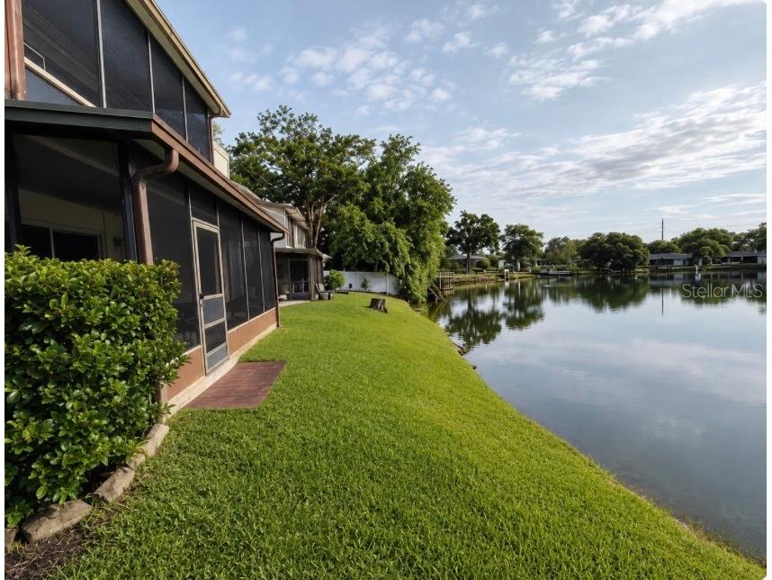 1960 Union Street #19 Clearwater FL 33764 TB8531431 image22