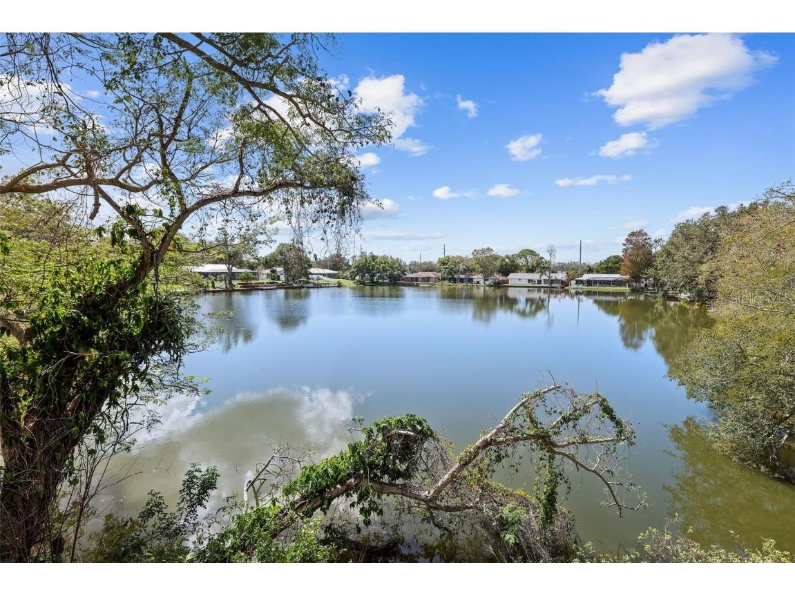 1960 Union Street #34 Clearwater FL 33763 TB8408821 image33