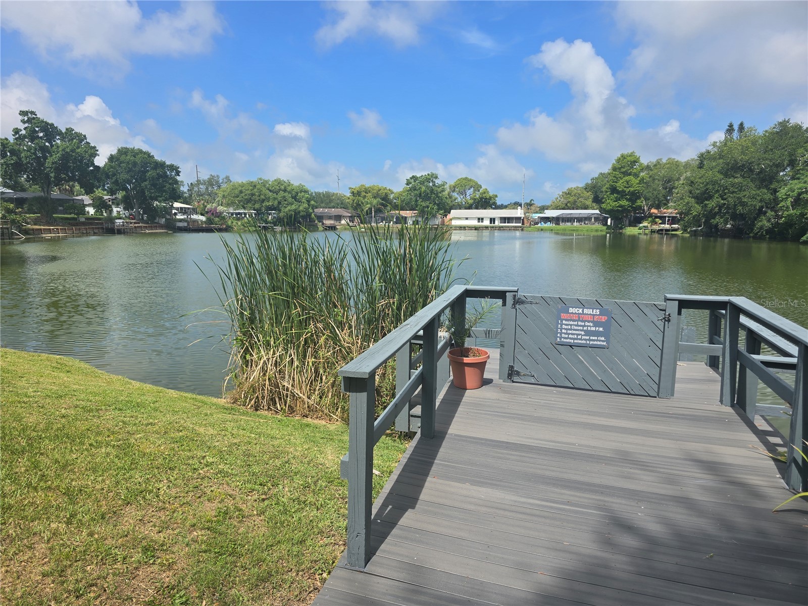 1960 Union Street #5 Clearwater FL 33763 TB8488687 image14