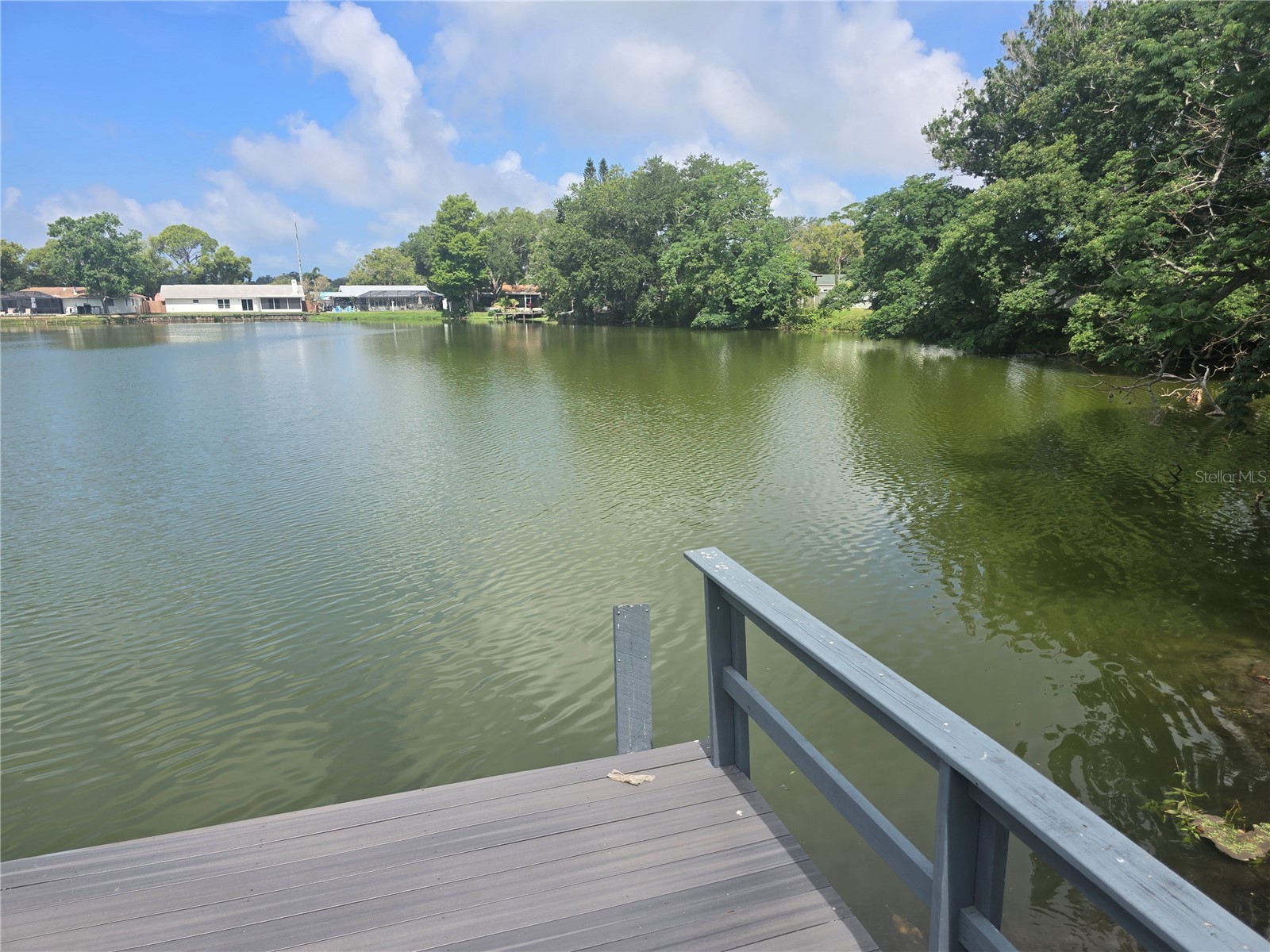 1960 Union Street #5 Clearwater FL 33763 TB8488687 image15