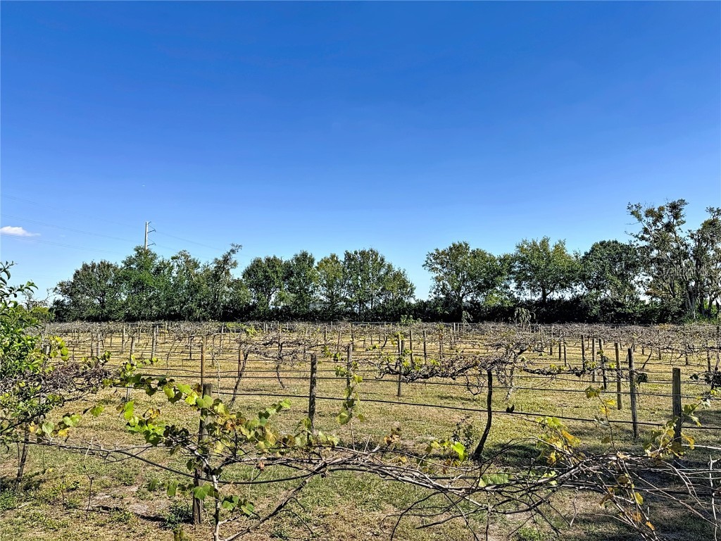 19600 E State Road 64 Bradenton FL 34212 A4672463 image59