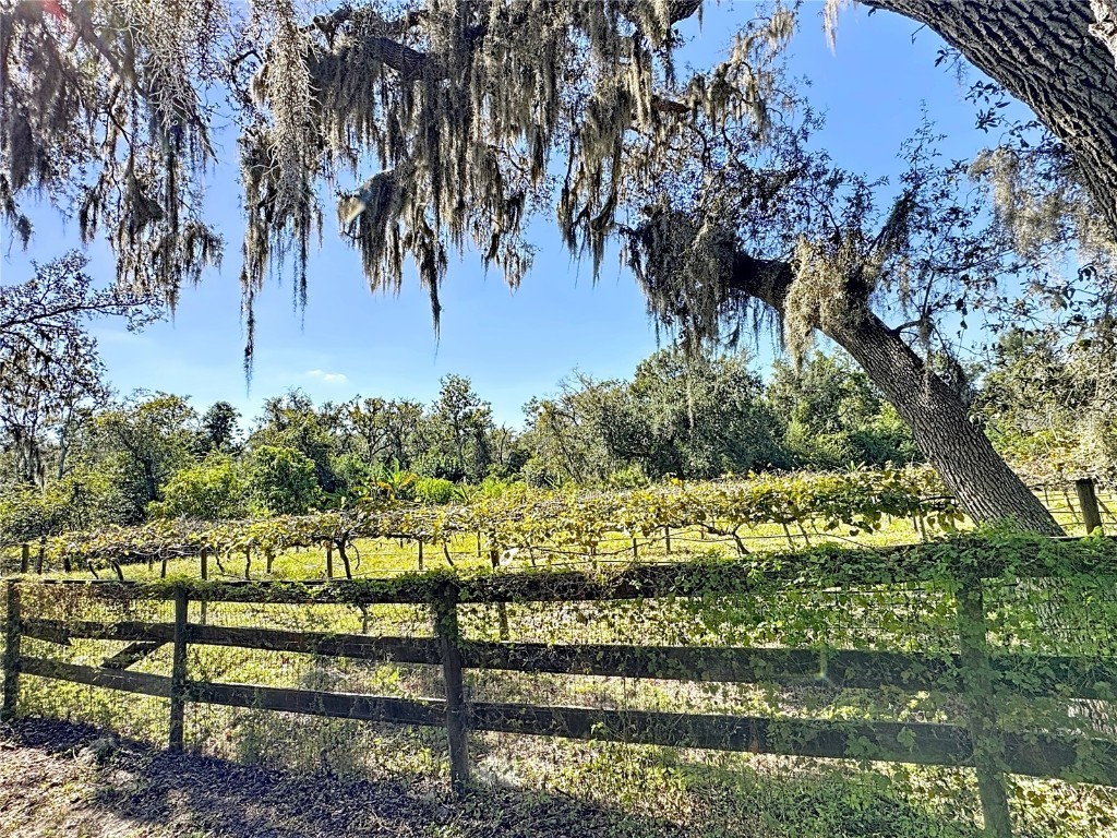 19600 E State Road 64 Bradenton FL 34212 A4672463 image63