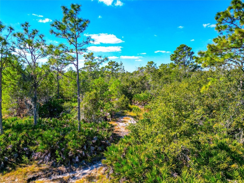 19600 E State Road 64 Bradenton FL 34212 A4672463 image78