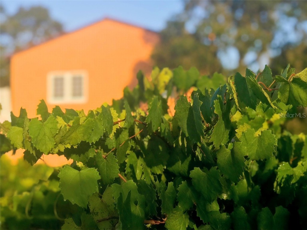 19600 E State Road 64 Bradenton FL 34212 A4672463 image87