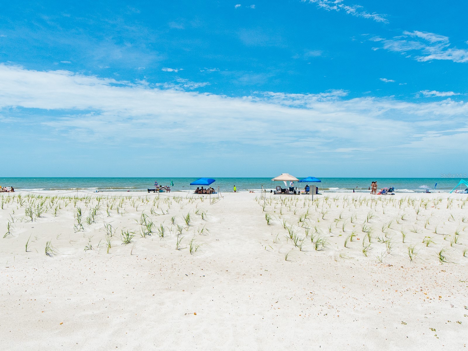 19600 Gulf Boulevard #102 Indian Shores FL 33785 TB8513450 image42