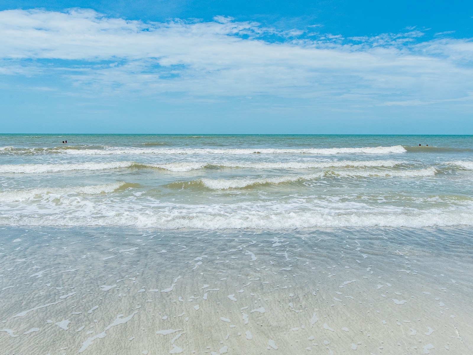 19600 Gulf Boulevard #102 Indian Shores FL 33785 TB8513450 image43