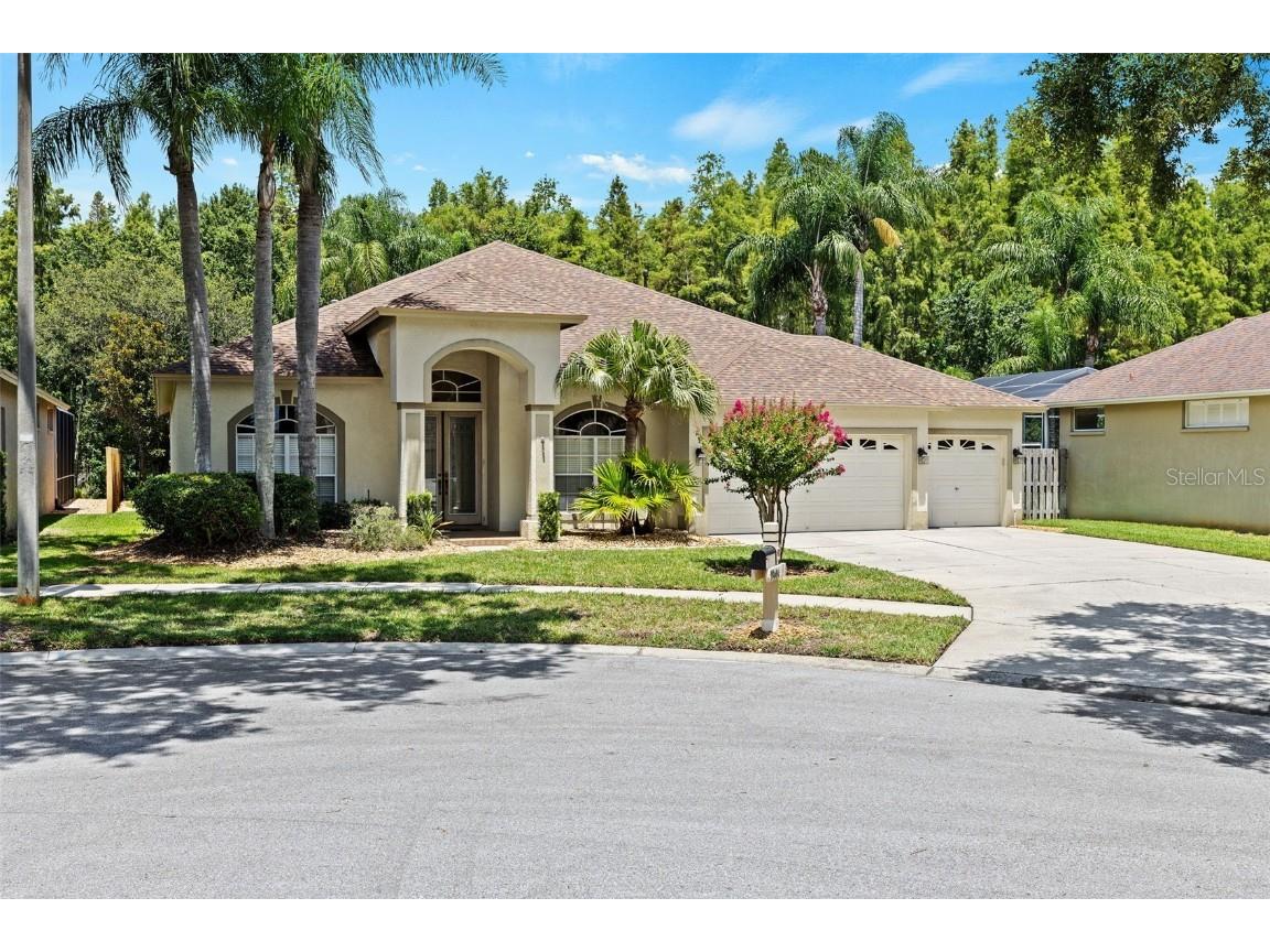 19604 Intrigue Way Lutz FL 33558 TB8415674 image1