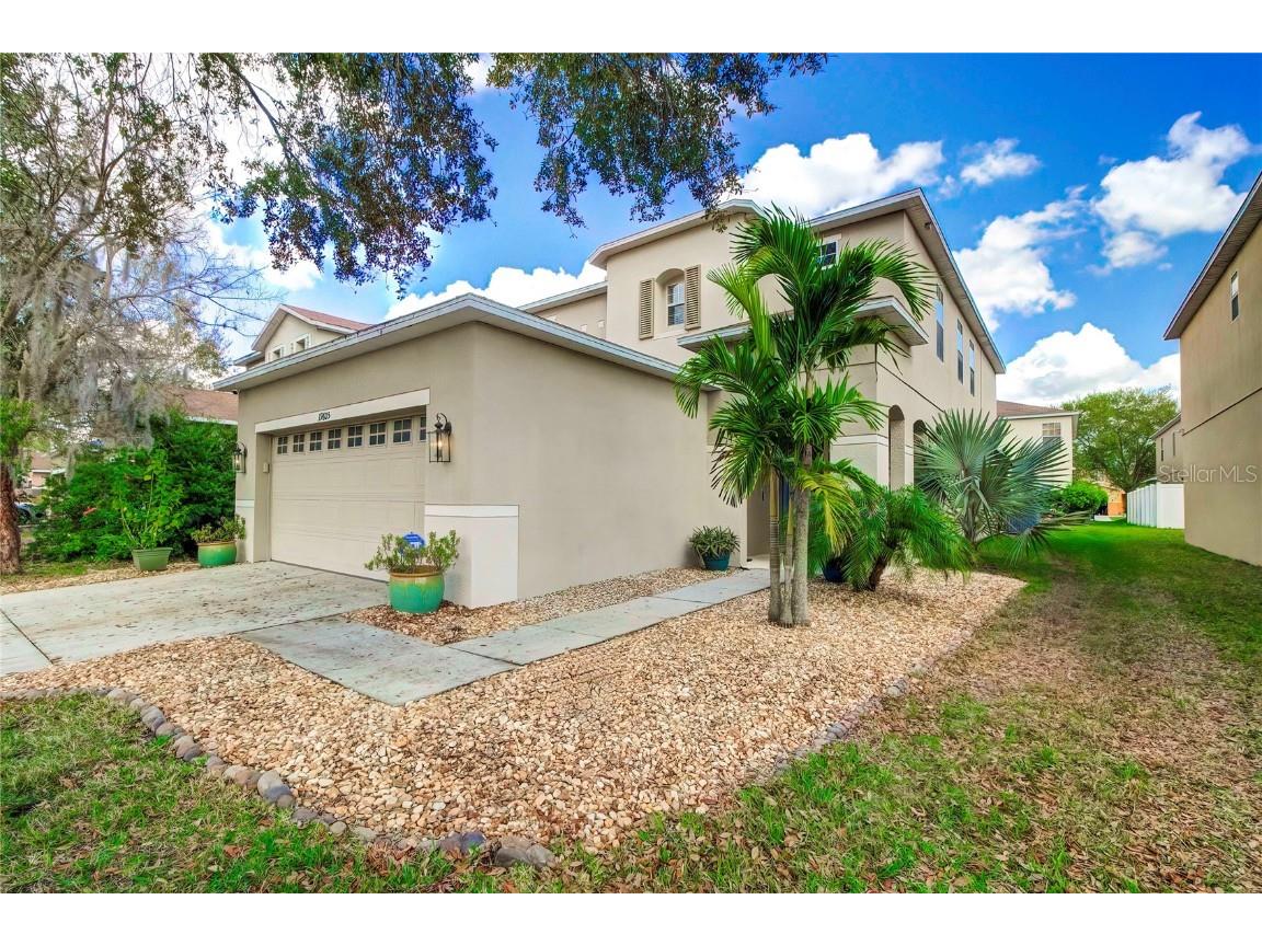 19605 Timberbluff Drive Land O Lakes FL 34638 T3509176 image1