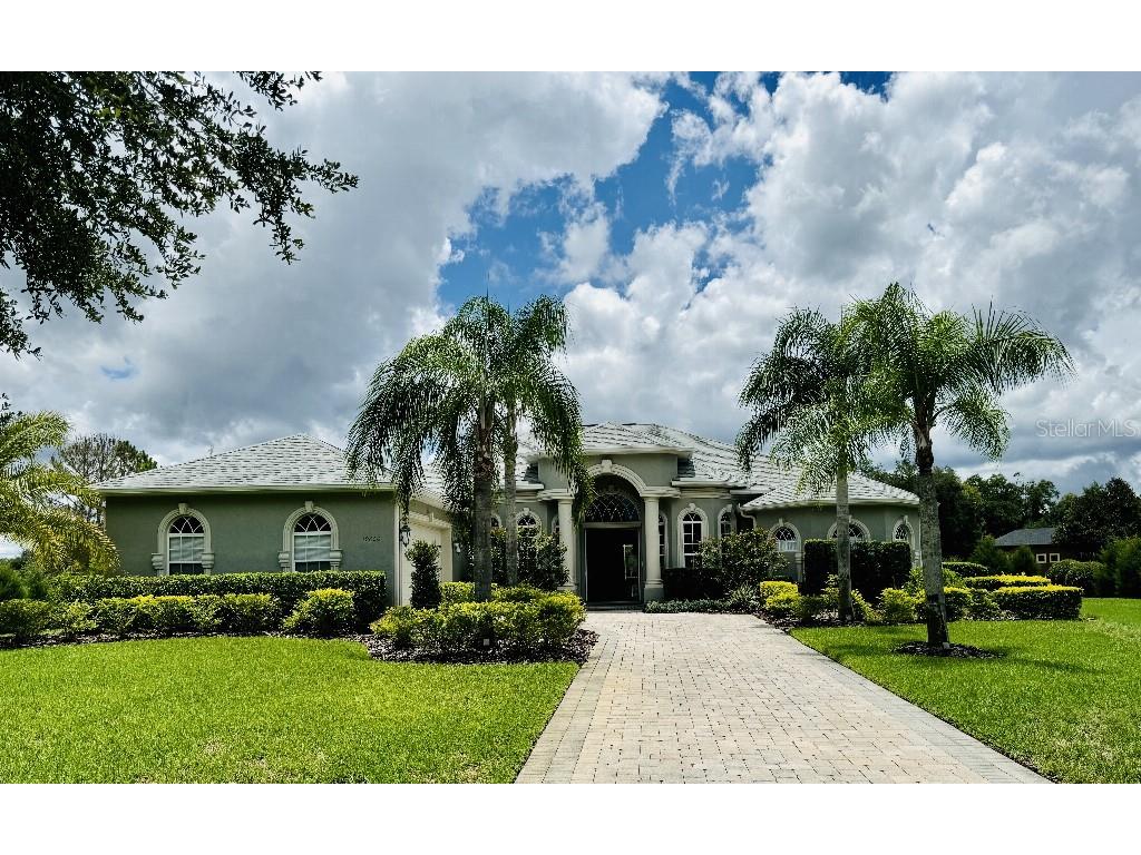 19606 Amazon Basin Bend Lutz FL 33559 T3537269 image1