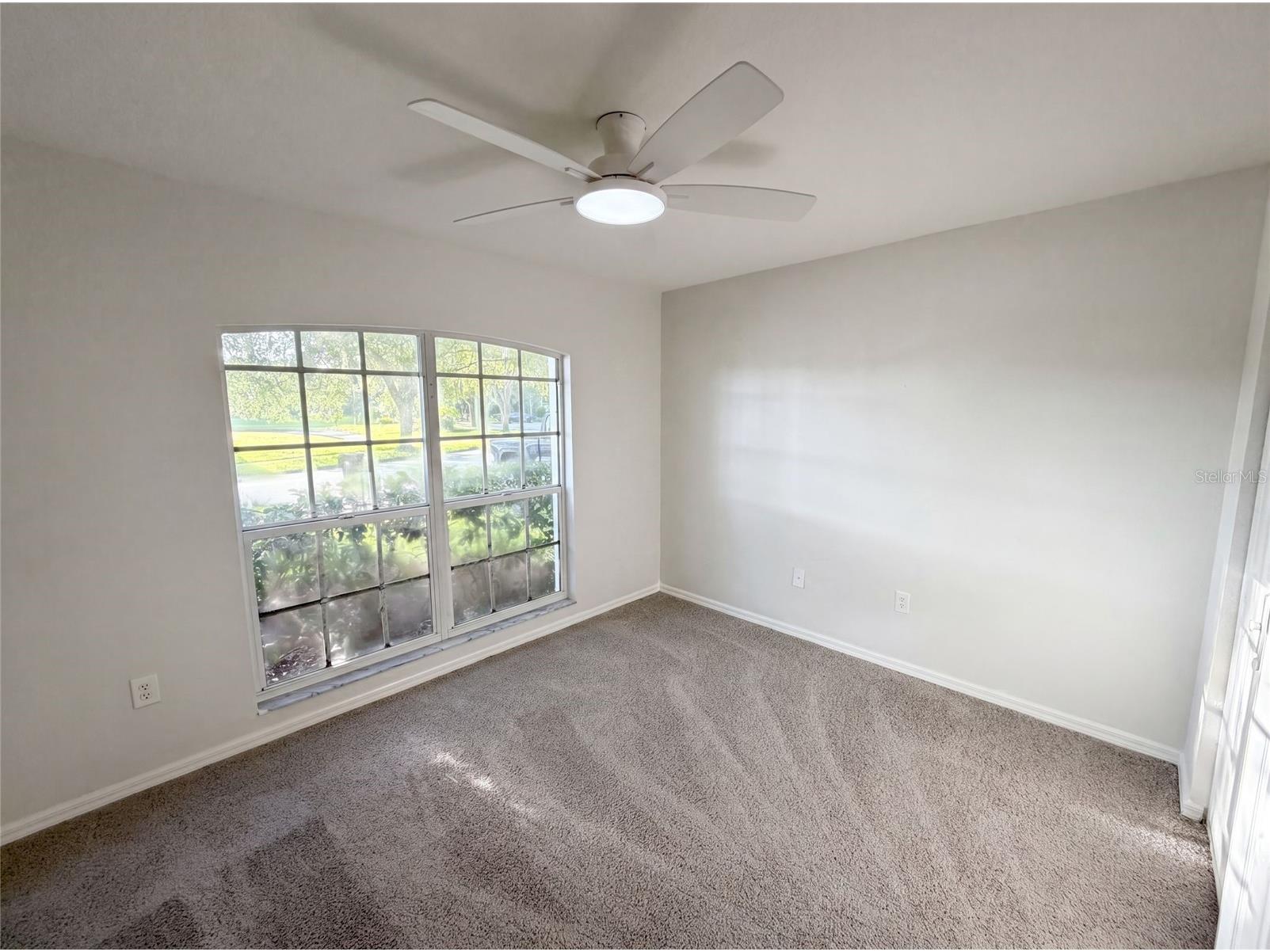19606 Morden Blush Drive Lutz FL 33558 O6418596 image20
