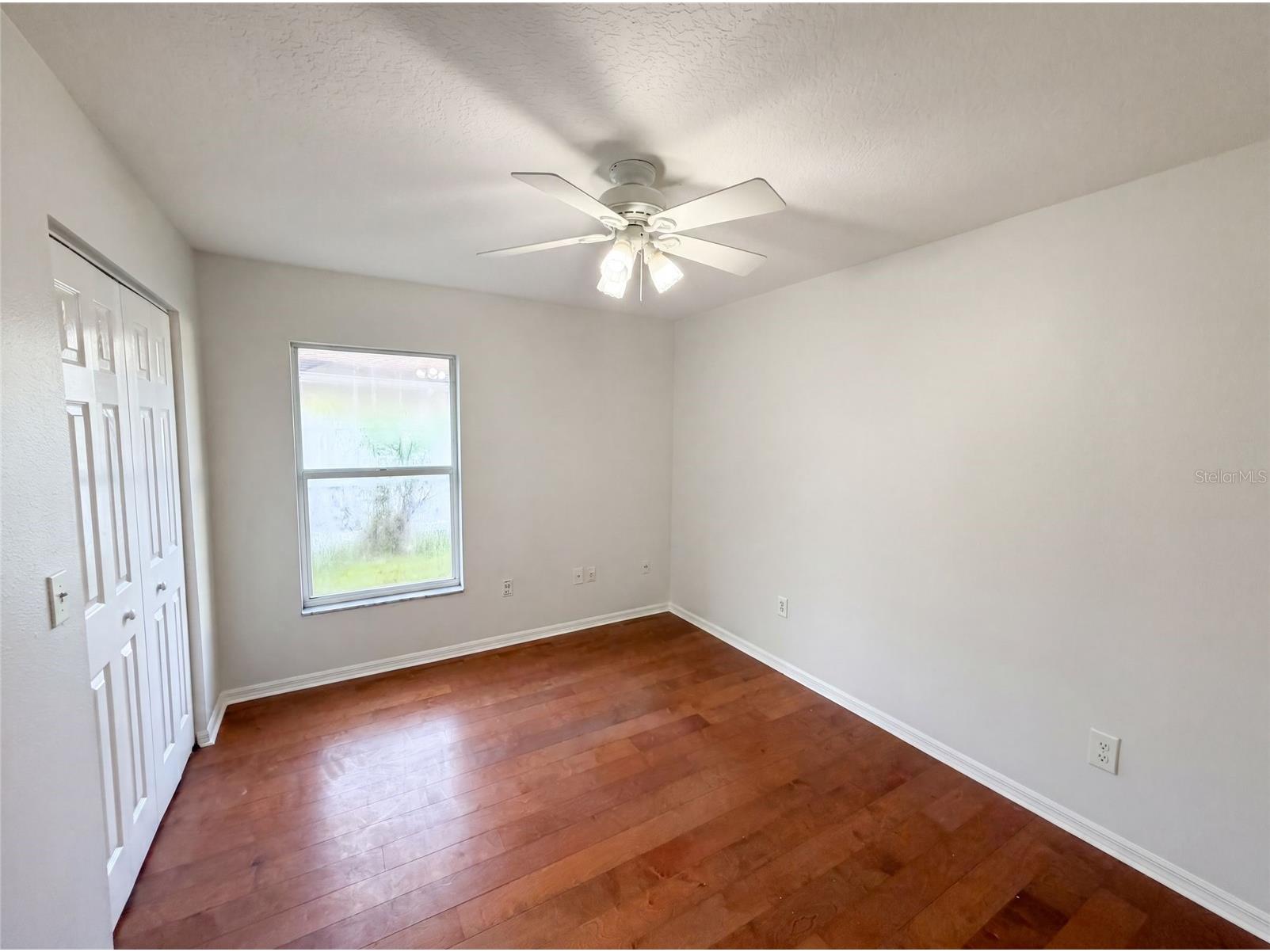 19606 Morden Blush Drive Lutz FL 33558 O6418596 image23
