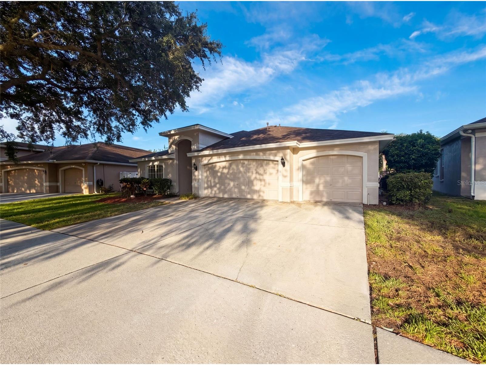 19606 Morden Blush Drive Lutz FL 33558 O6418596 image6