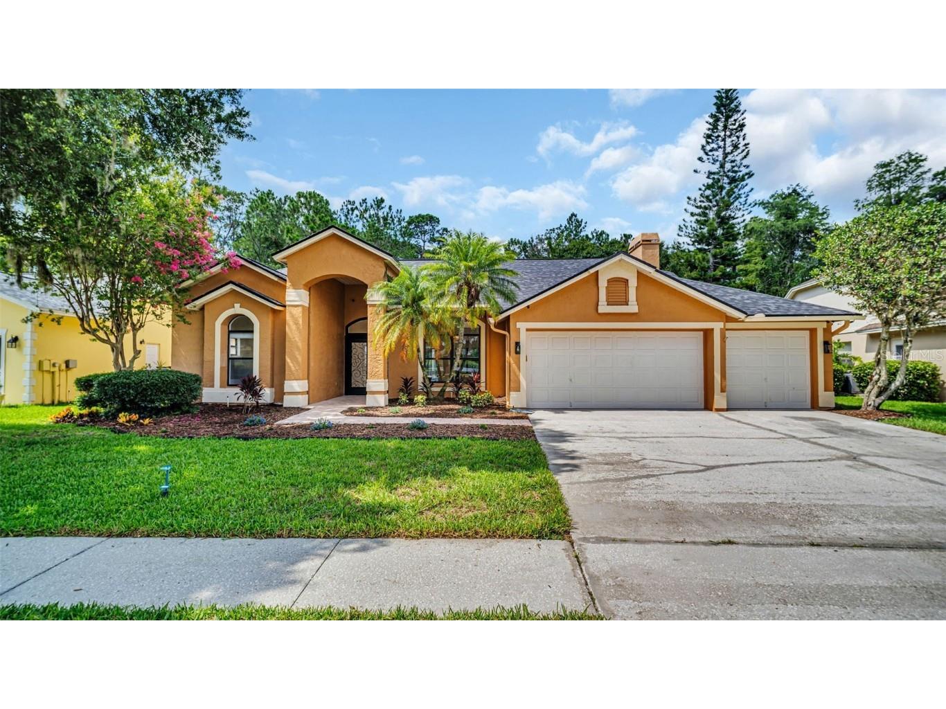 19607 Wyndham Lakes Drive Odessa FL 33556 T3539638 image1