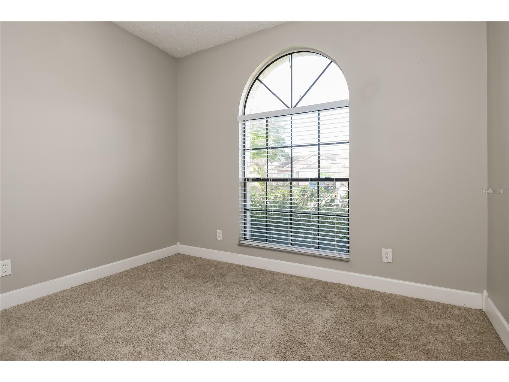 1961 Martina Street Apopka FL 32703 TB8510353 image5