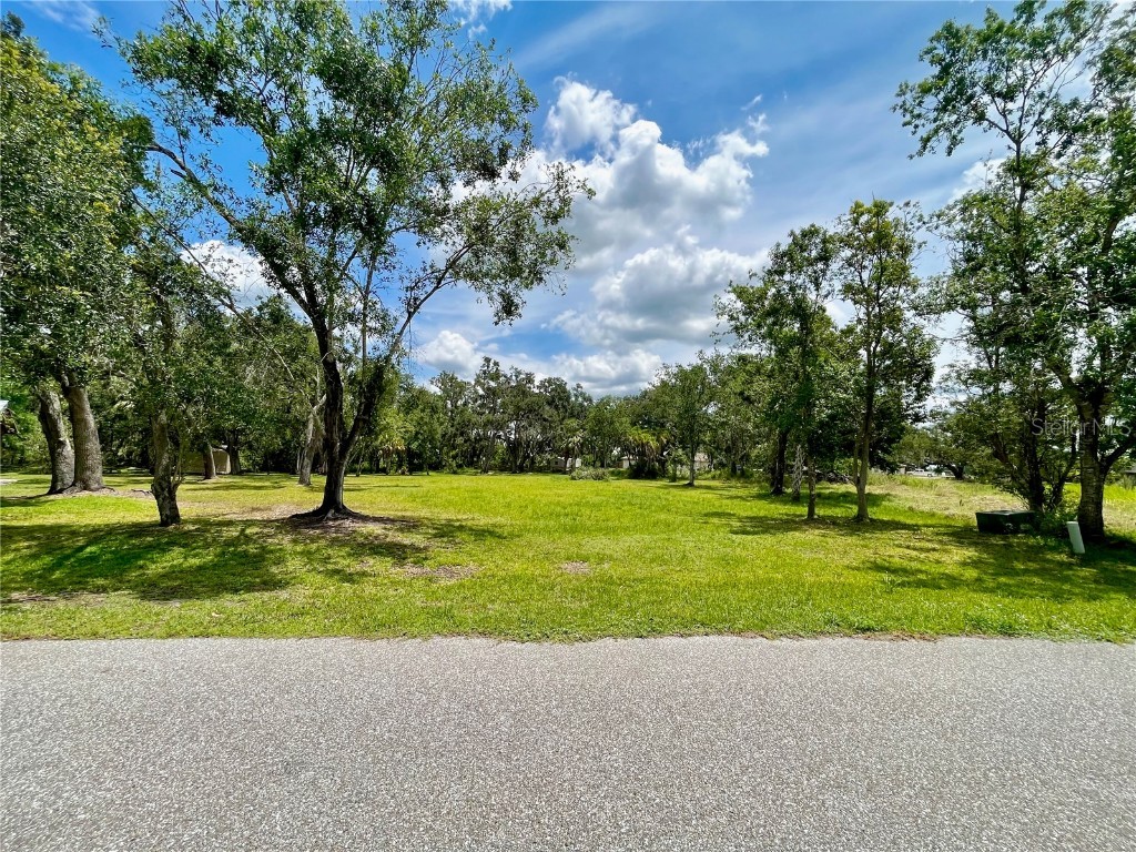 1961 NE Voss Oaks Circle Arcadia FL 34266 A4578127 image1
