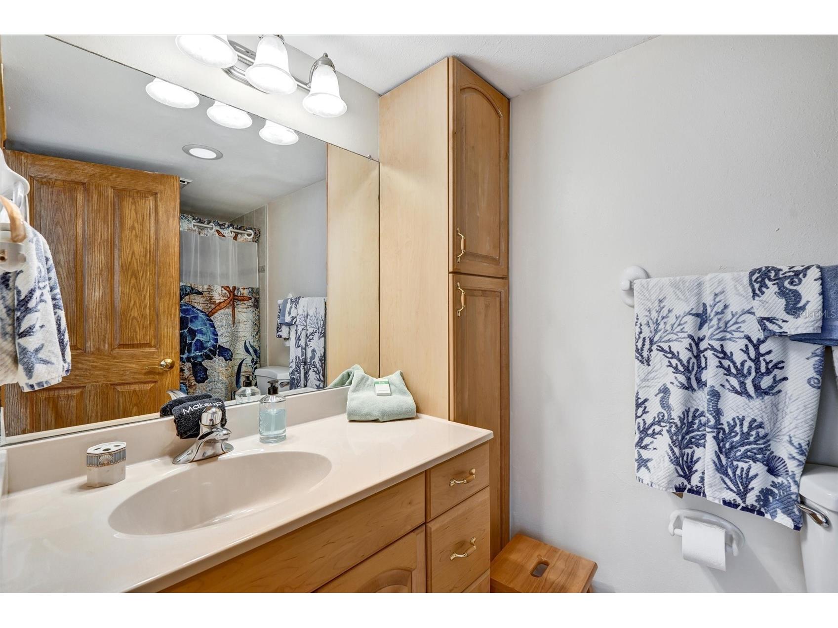 19610 Gulf Blvd #206 Indian Shores FL 33785 - GULF OF MEXICO/AMERICA TB8434571 image31